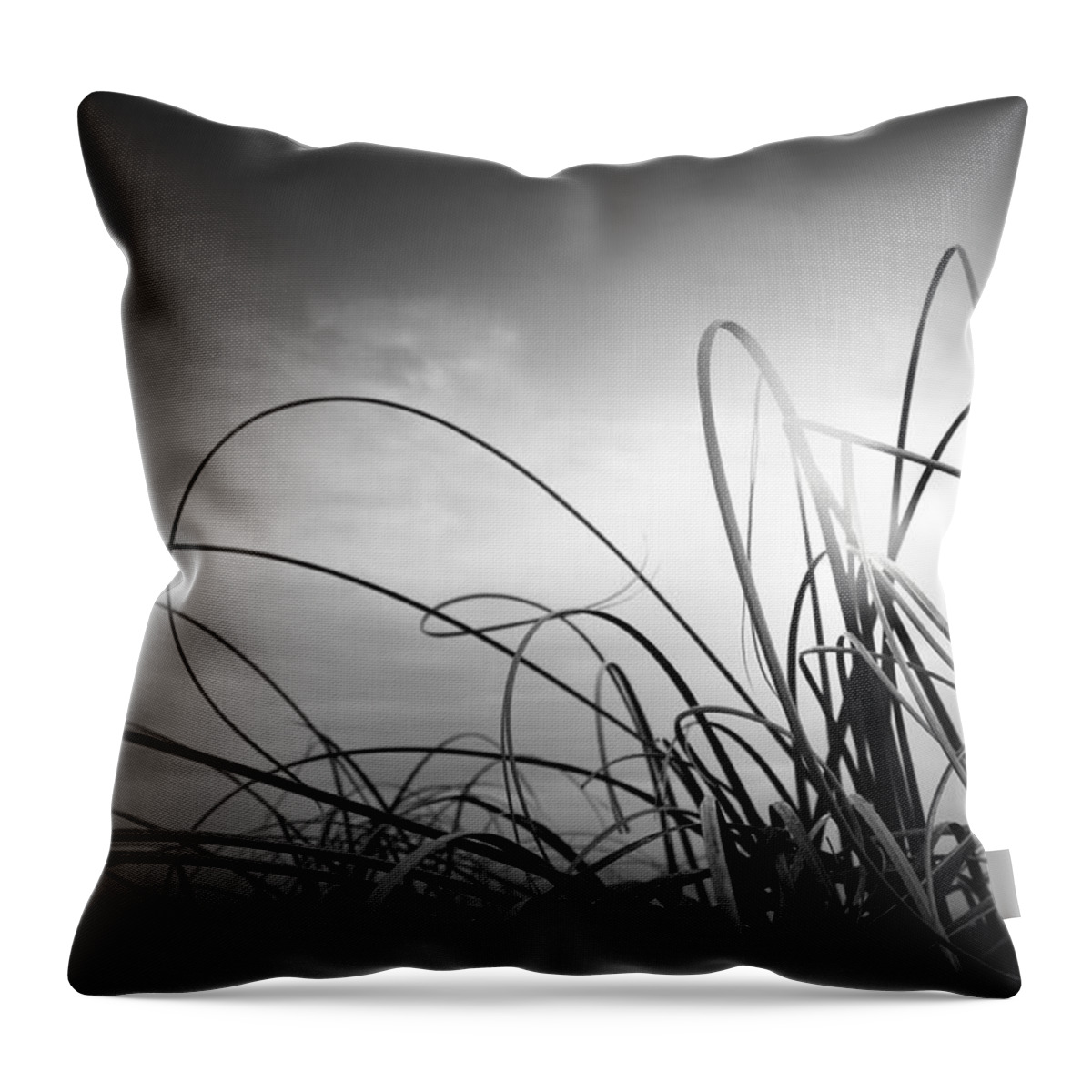 Grass Throw Pillow featuring the photograph Dancing Queen by Dorit Fuhg