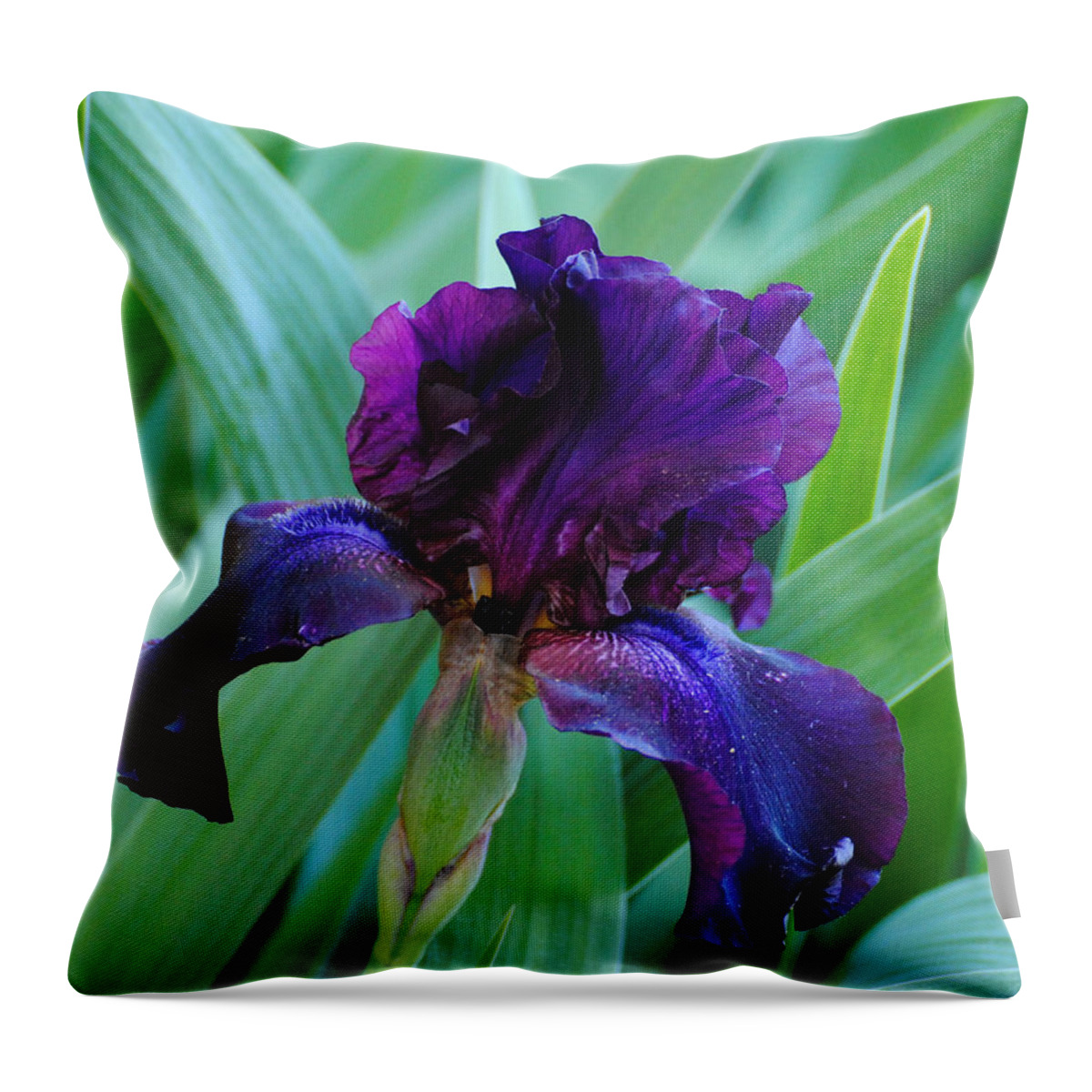 Beautiful Throw Pillow featuring the photograph Dark Purple Iris by Jai Johnson