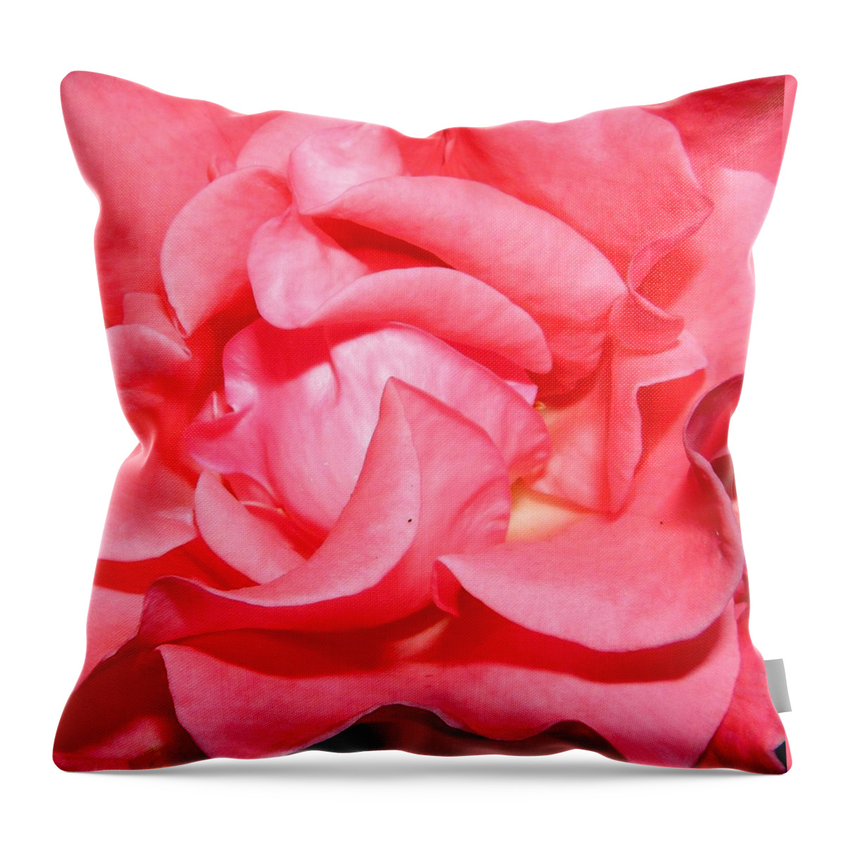 Pink Throw Pillow featuring the photograph Delicate Swirls Of Pin by Kim Galluzzo Wozniak