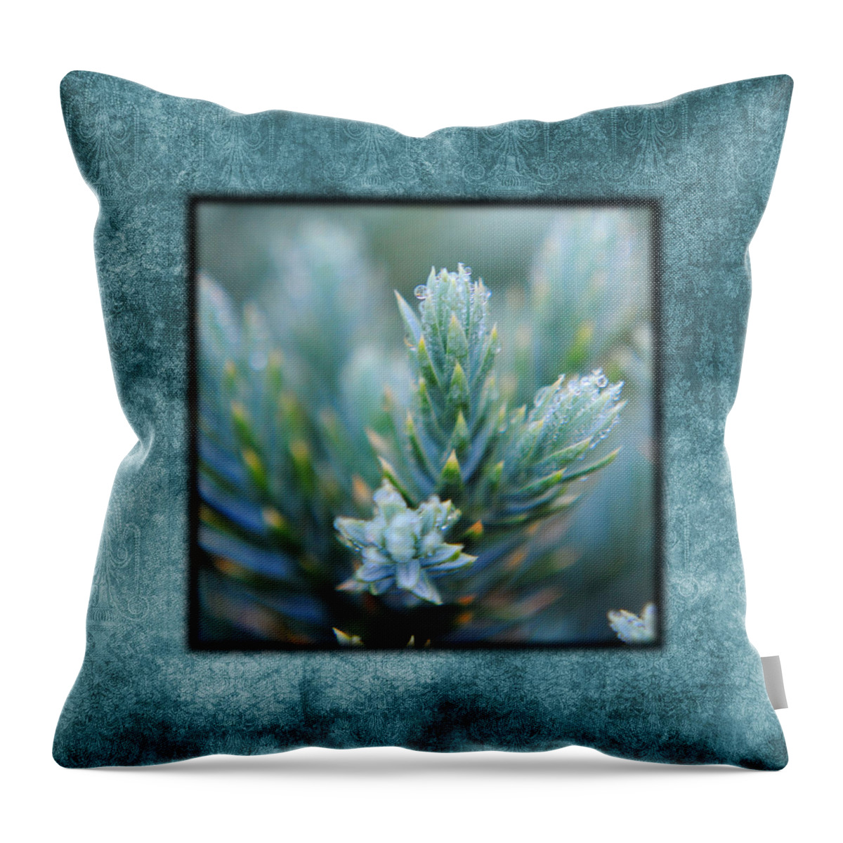 artistic Nature Photo Throw Pillow featuring the photograph Dew on the Pine II Photo Square by Jai Johnson