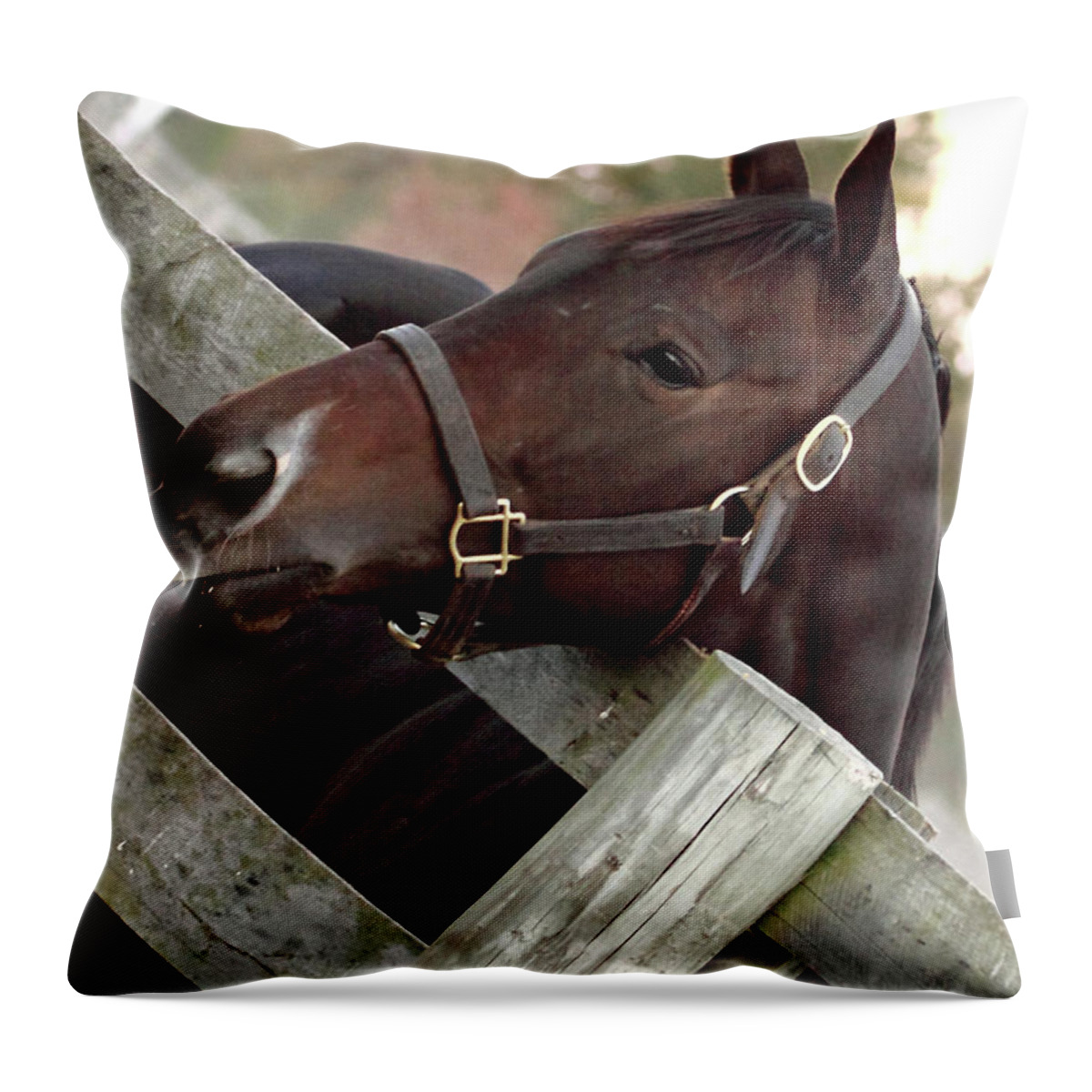 Pjq And Friends Photography Throw Pillow featuring the photograph 'Dreamcakes' by PJQandFriends Photography