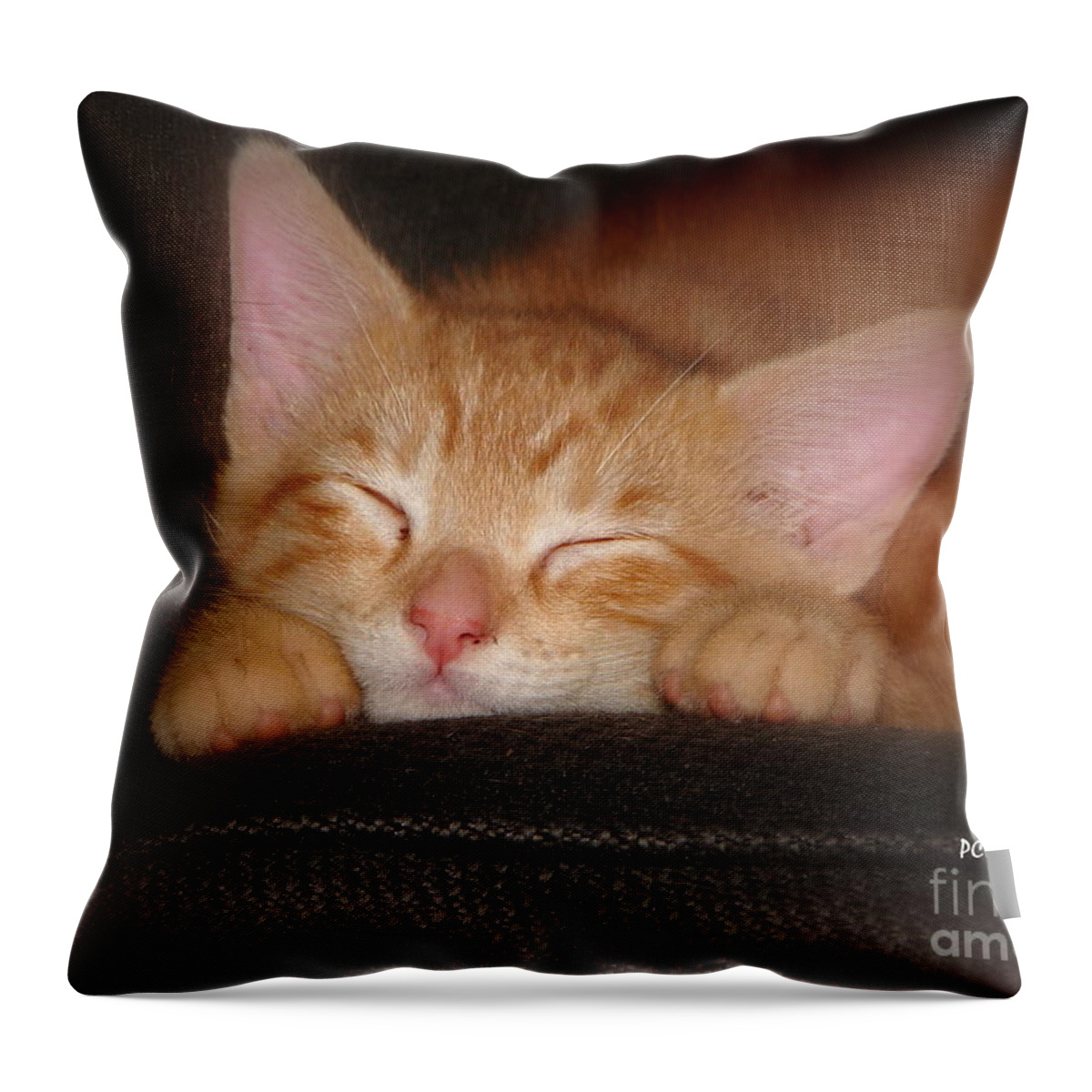 Cat Throw Pillow featuring the photograph Dreaming Kitten by Patrick Witz
