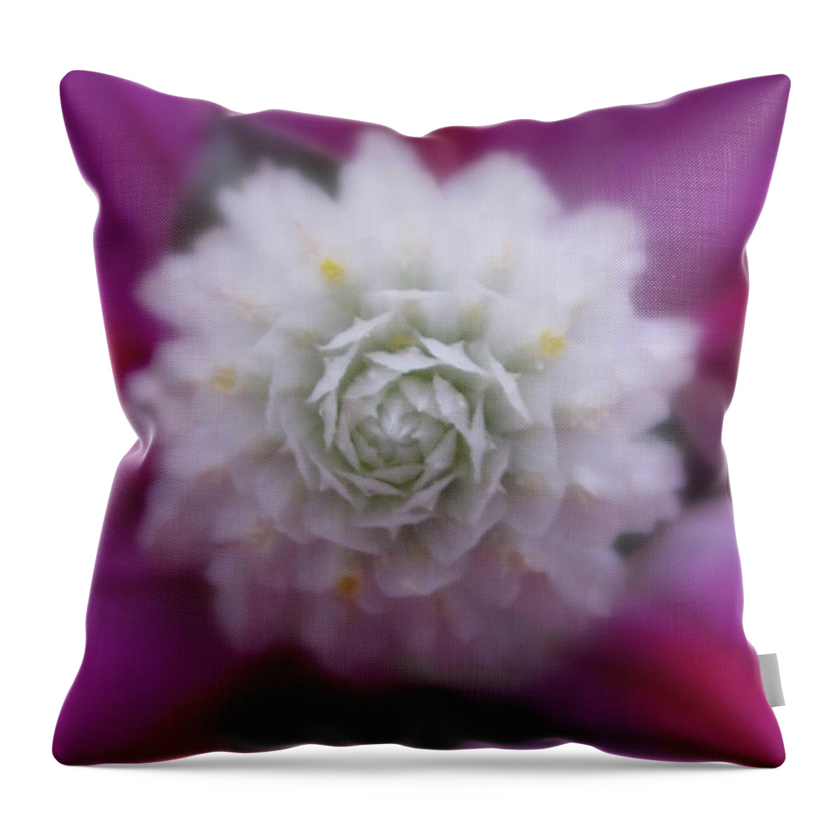 Flower Throw Pillow featuring the photograph Elegance by Tina Marie