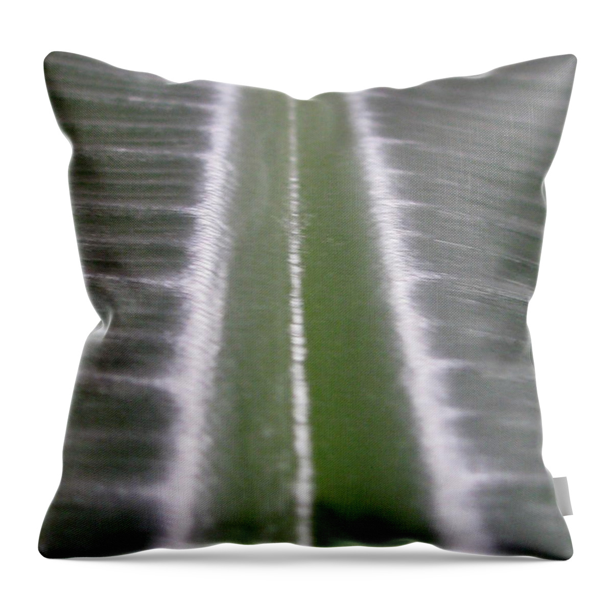 Flower Throw Pillow featuring the photograph Elongating by Tina Marie