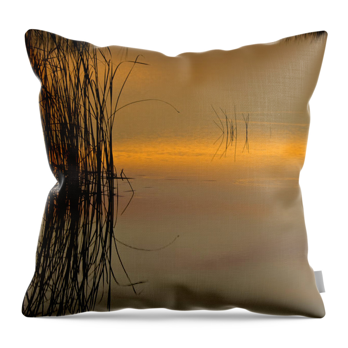 Everglades Throw Pillow featuring the photograph Everglades Grasses by Ed Gleichman