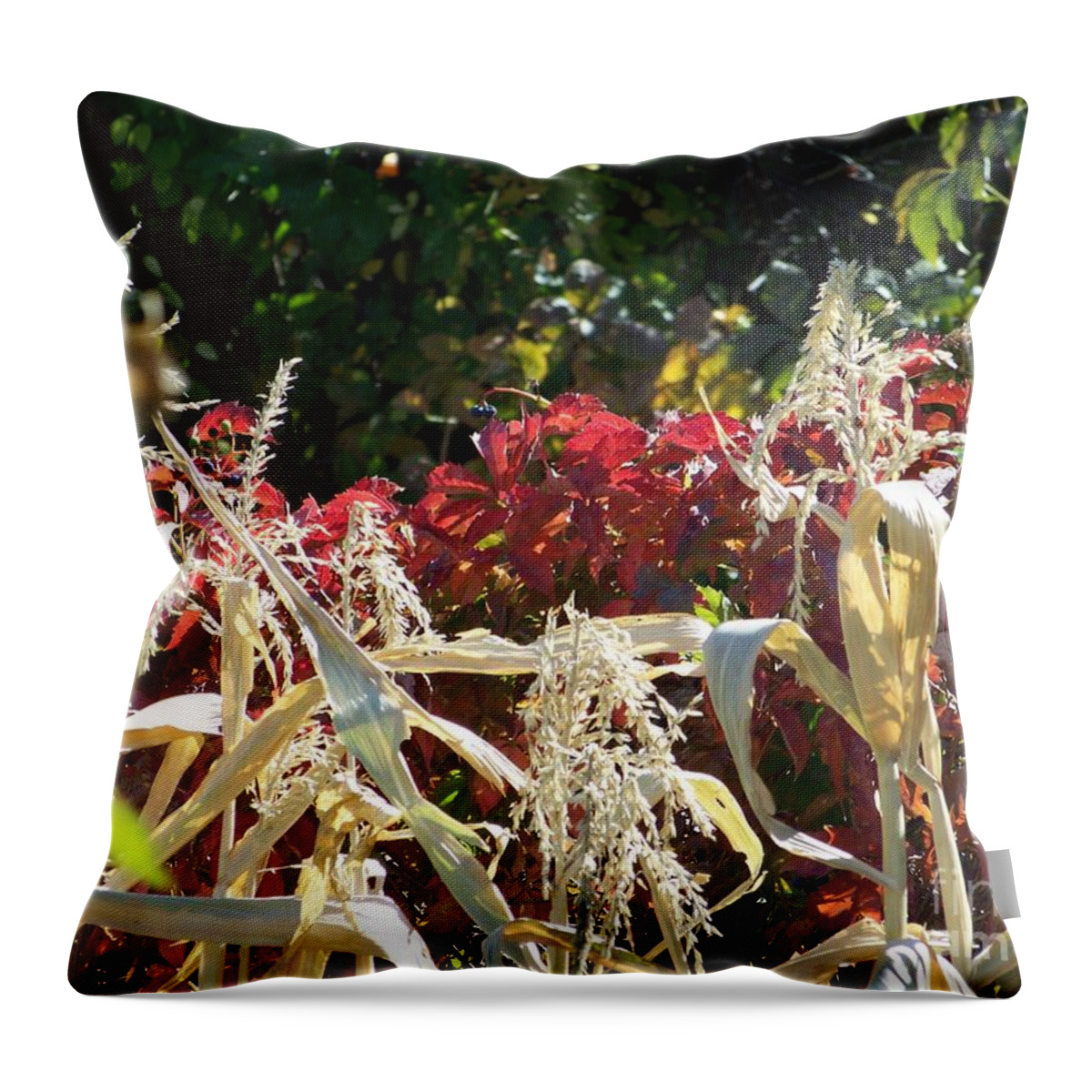 Fall Colors Throw Pillow featuring the photograph Fall Harvest of Color by Dorrene BrownButterfield