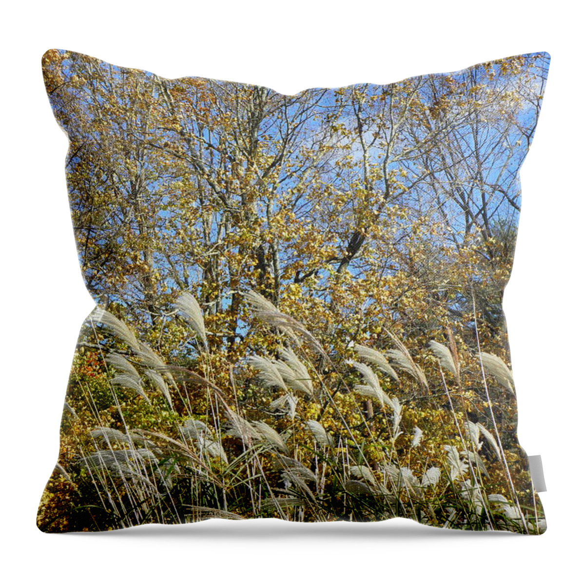Fall Throw Pillow featuring the photograph Fall scape in Connecticut by Kim Galluzzo Wozniak