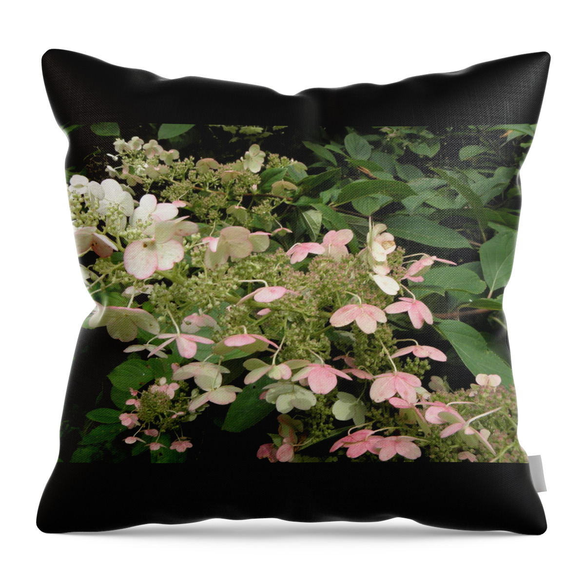 Hydrangea Throw Pillow featuring the photograph FALLing into pastels by Kim Galluzzo