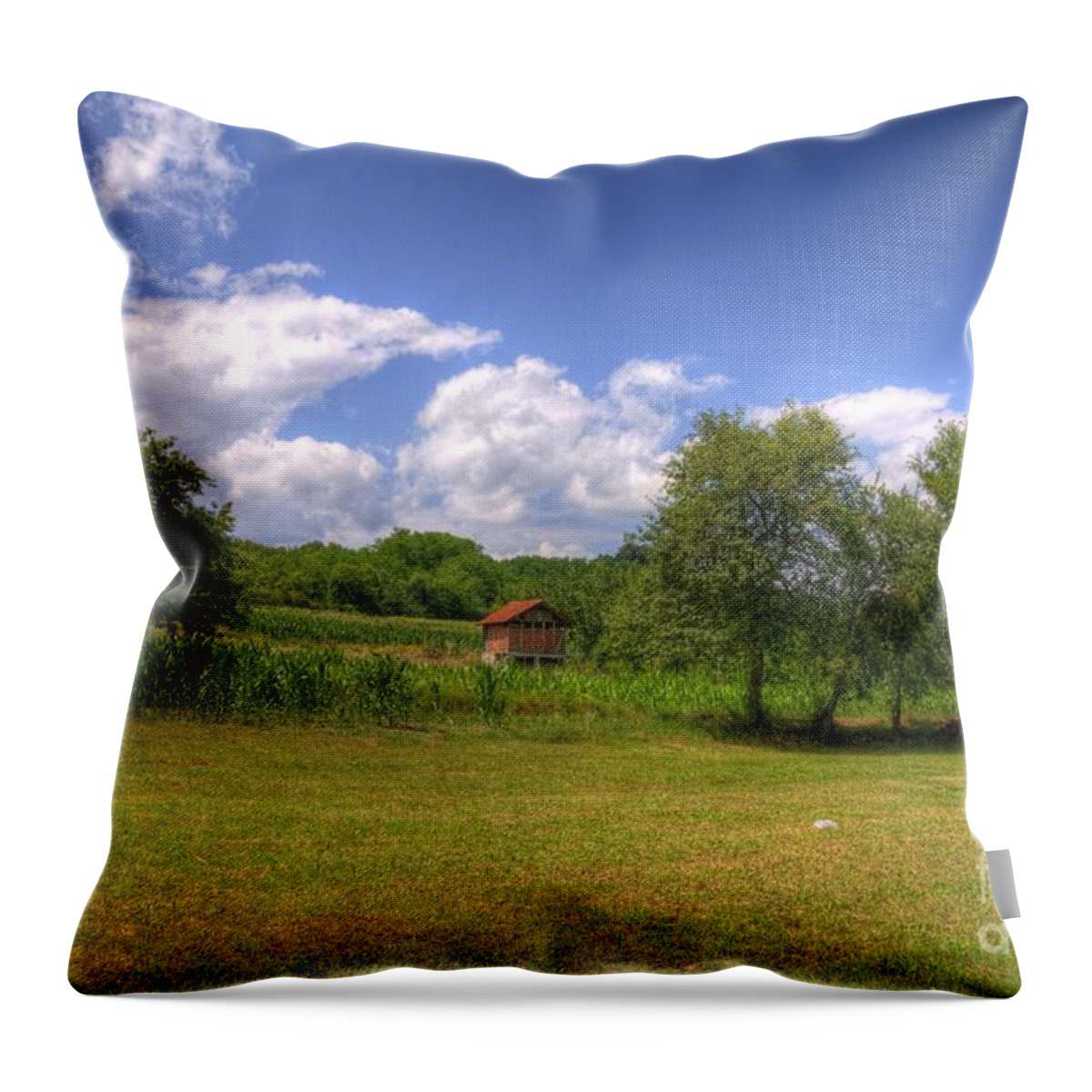 House Throw Pillow featuring the photograph Farm house by Dejan Jovanovic