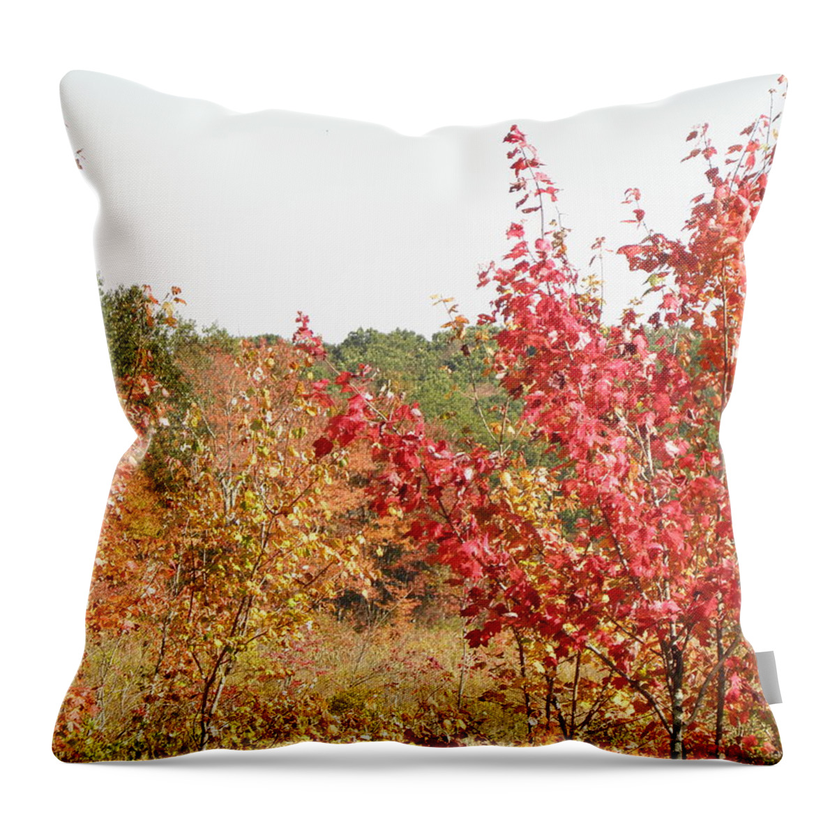 Fire Throw Pillow featuring the photograph Fire Colors by Kim Galluzzo Wozniak