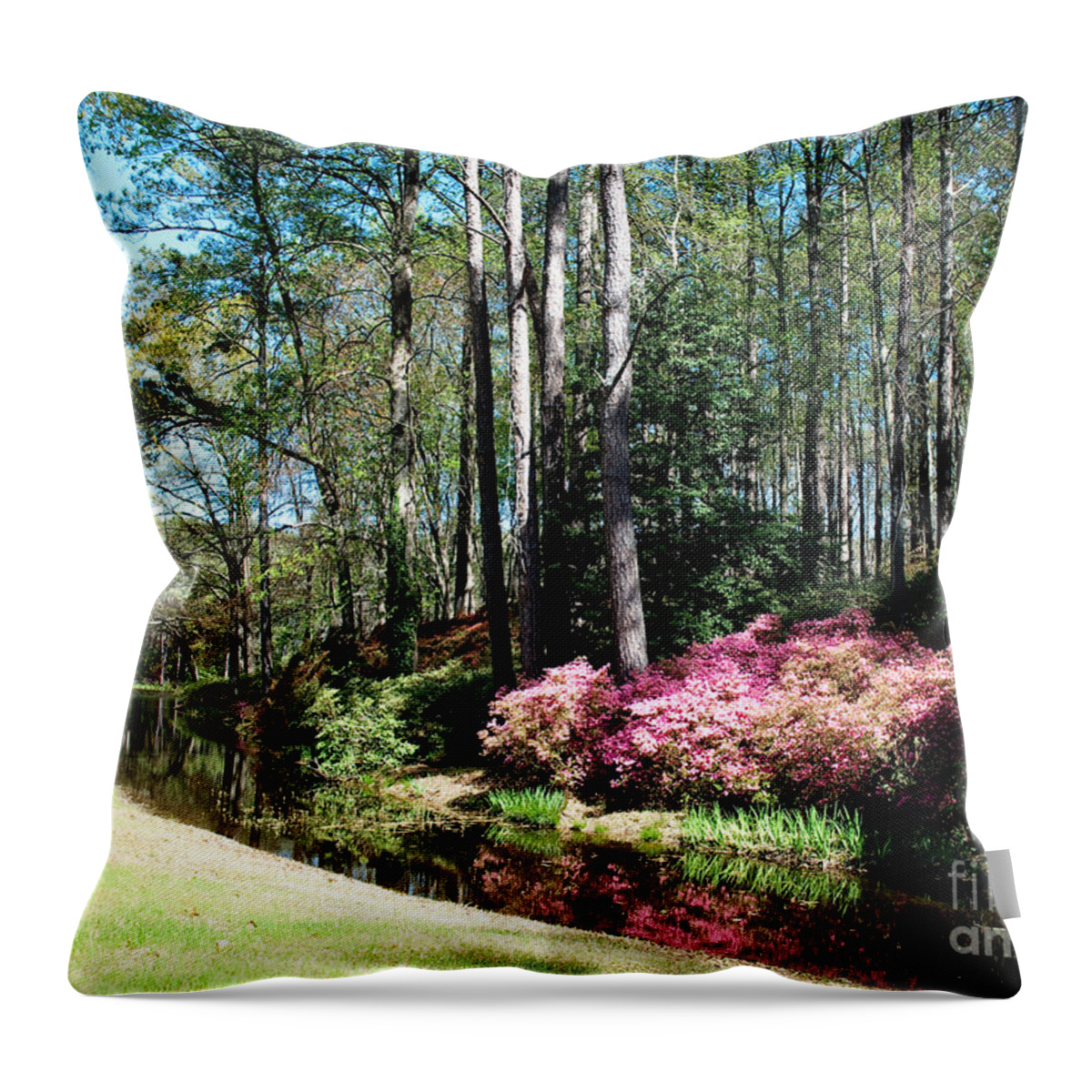 Spring Throw Pillow featuring the photograph Flower Creek by Shijun Munns
