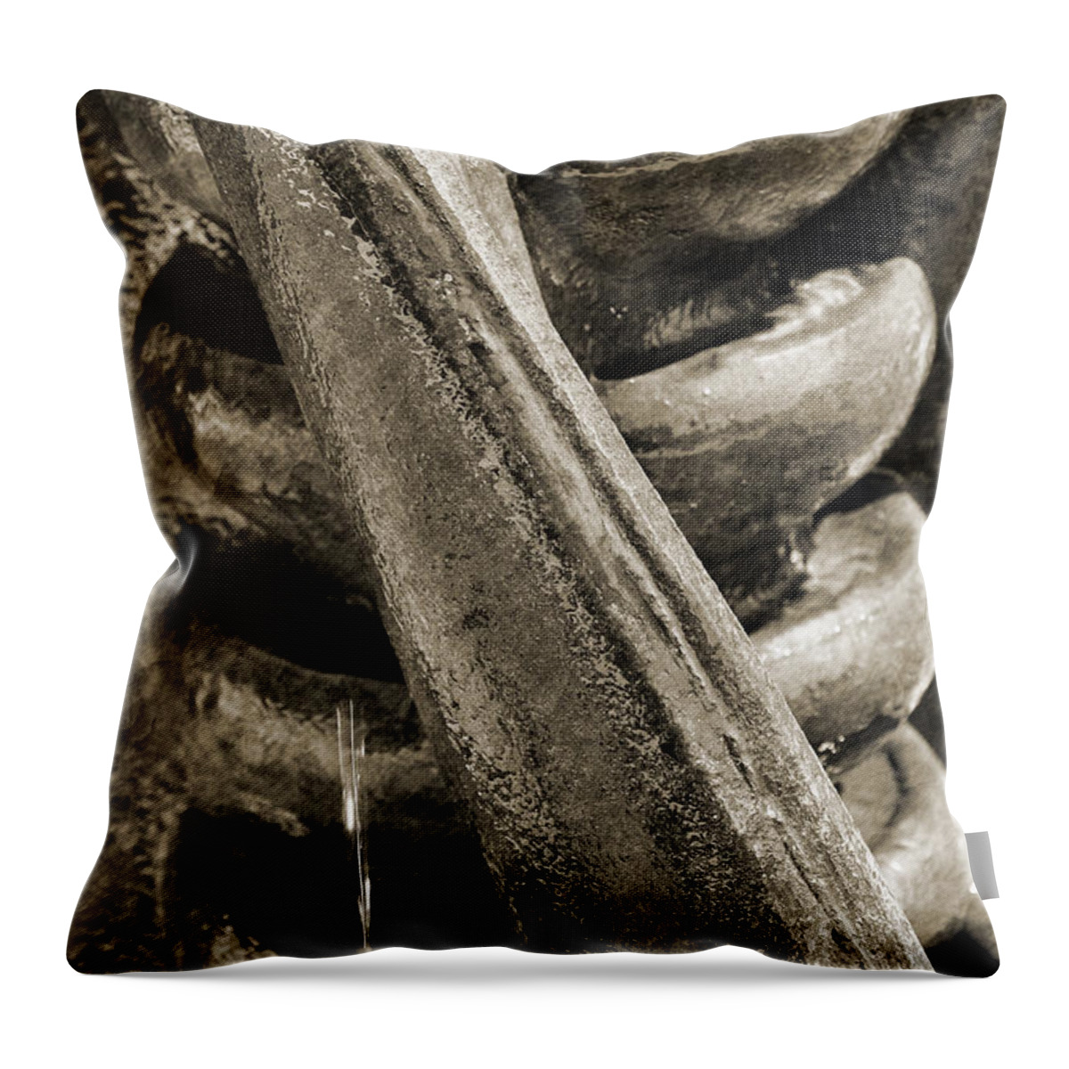 Fountain Throw Pillow featuring the photograph Fountain of Youth by Donna Proctor