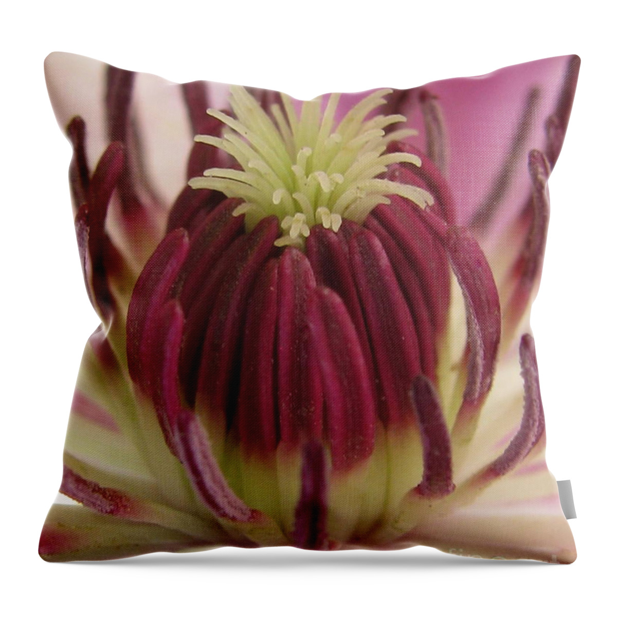 Flower Throw Pillow featuring the photograph Freshness Photography by Tina Marie