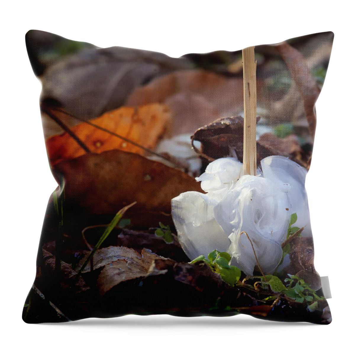 Frost Blossom Throw Pillow featuring the photograph Frost Blossom Lost Valley by Michael Dougherty