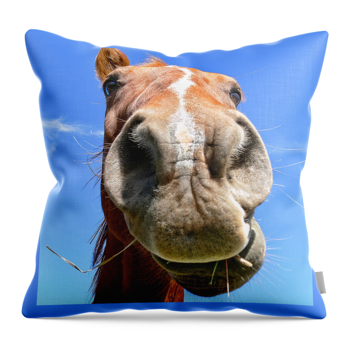 18 x 18 Throw Pillows (2) - Custom Giraffe Pattern - Animal Social Company