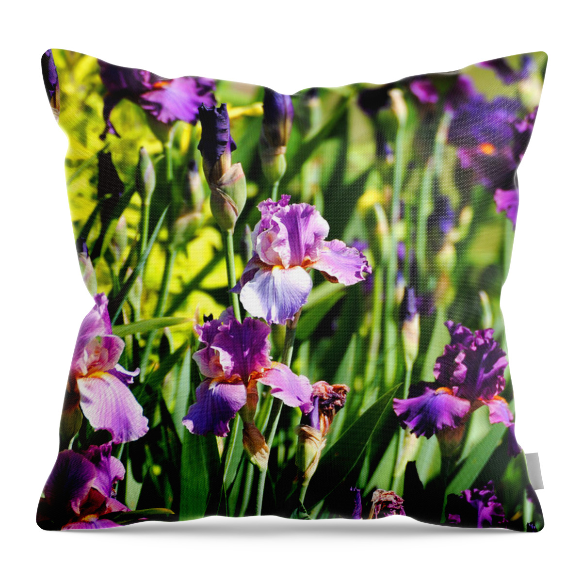 Beautiful Iris Throw Pillow featuring the photograph Garden of Irises by Jai Johnson