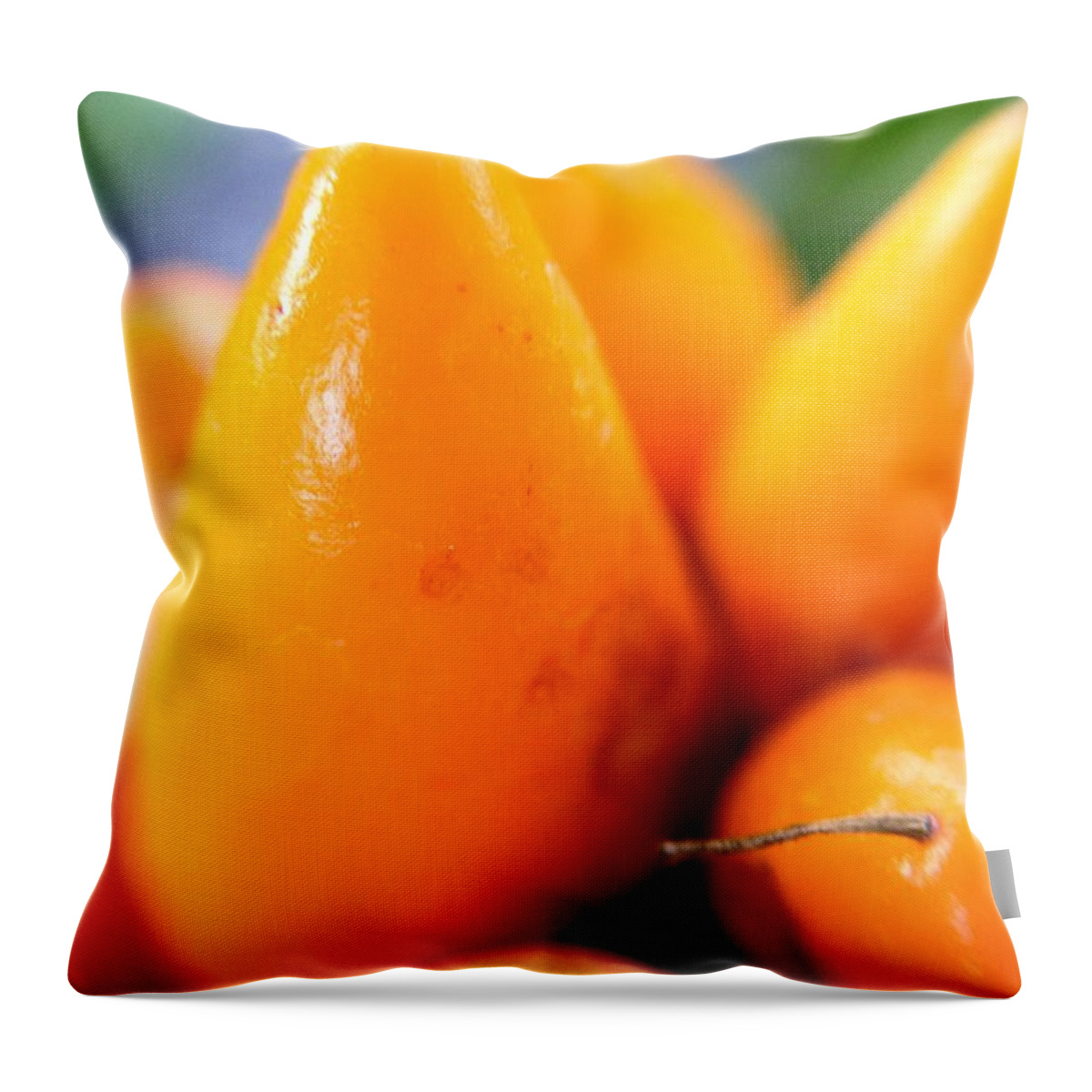 Photo Art Throw Pillow featuring the photograph Ghost in the Pepper by Chriss Pagani
