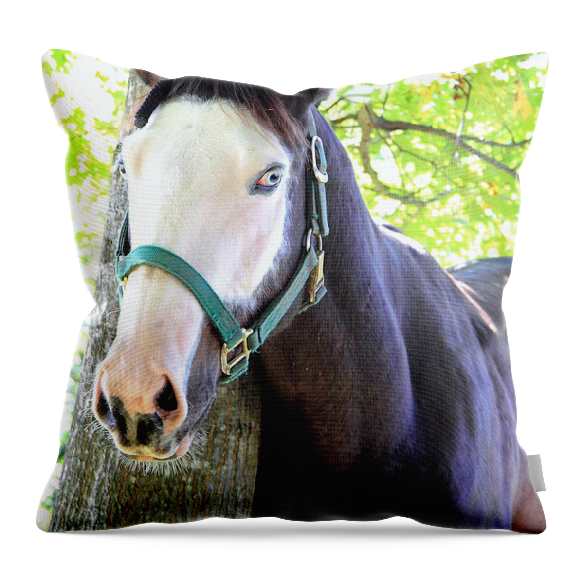  Throw Pillow featuring the photograph 'Ghostface' by PJQandFriends Photography