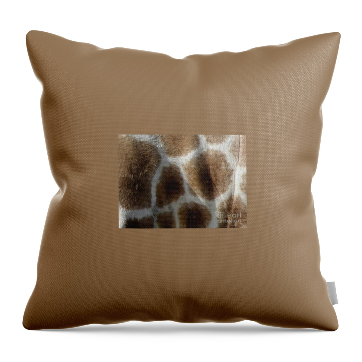 Giraffe Throw Pillow featuring the photograph Giraffe Body Print by Kim Galluzzo Wozniak