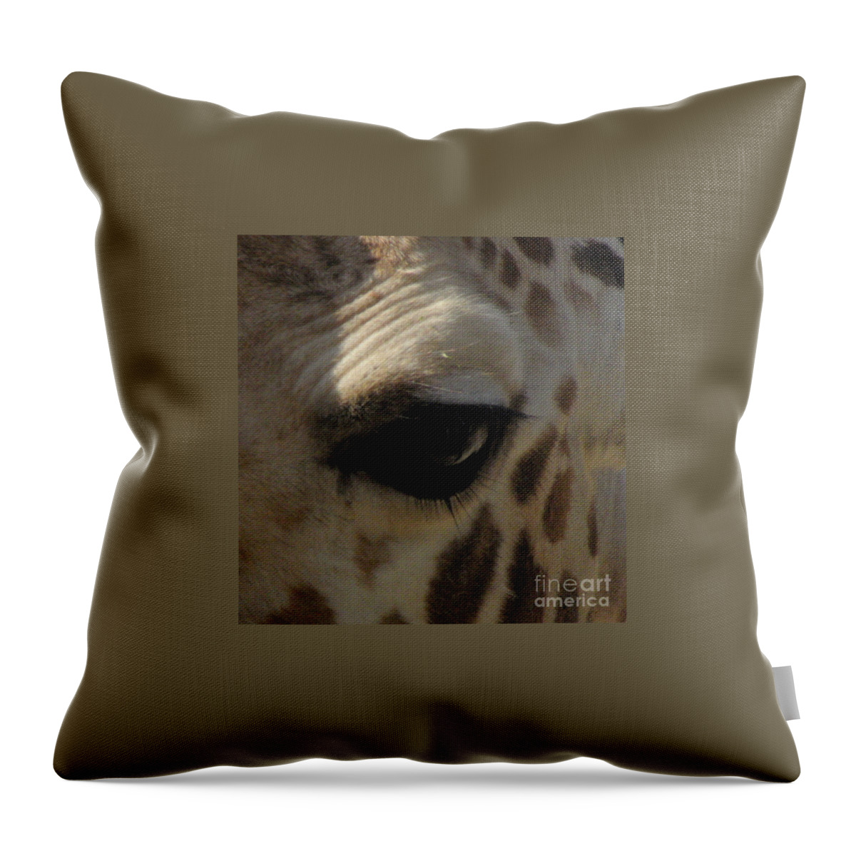 Giraffe Eye Throw Pillow featuring the photograph Giraffe eye by Kim Galluzzo Wozniak