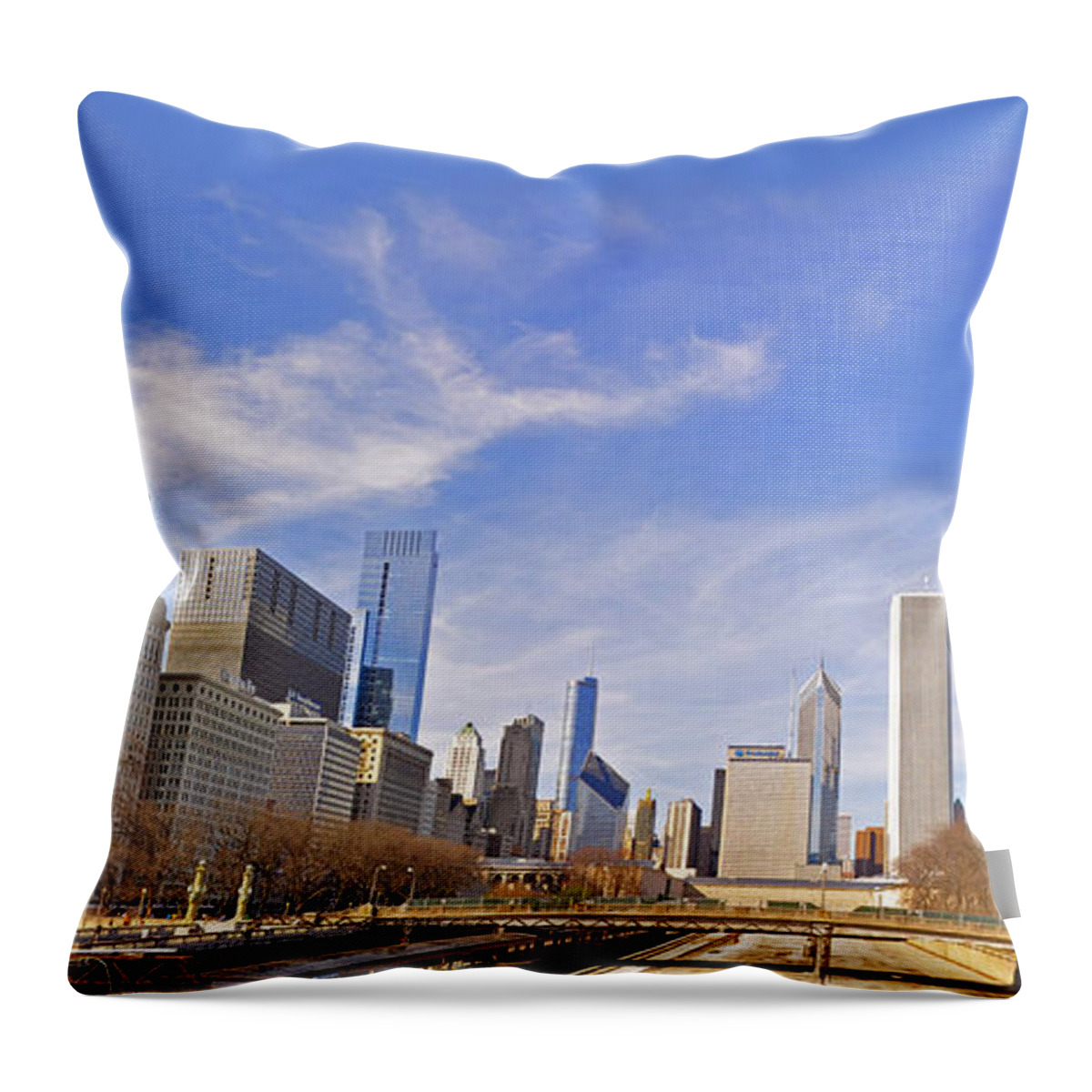 Grant Park Throw Pillow featuring the photograph Grant Park Chicago by Dejan Jovanovic