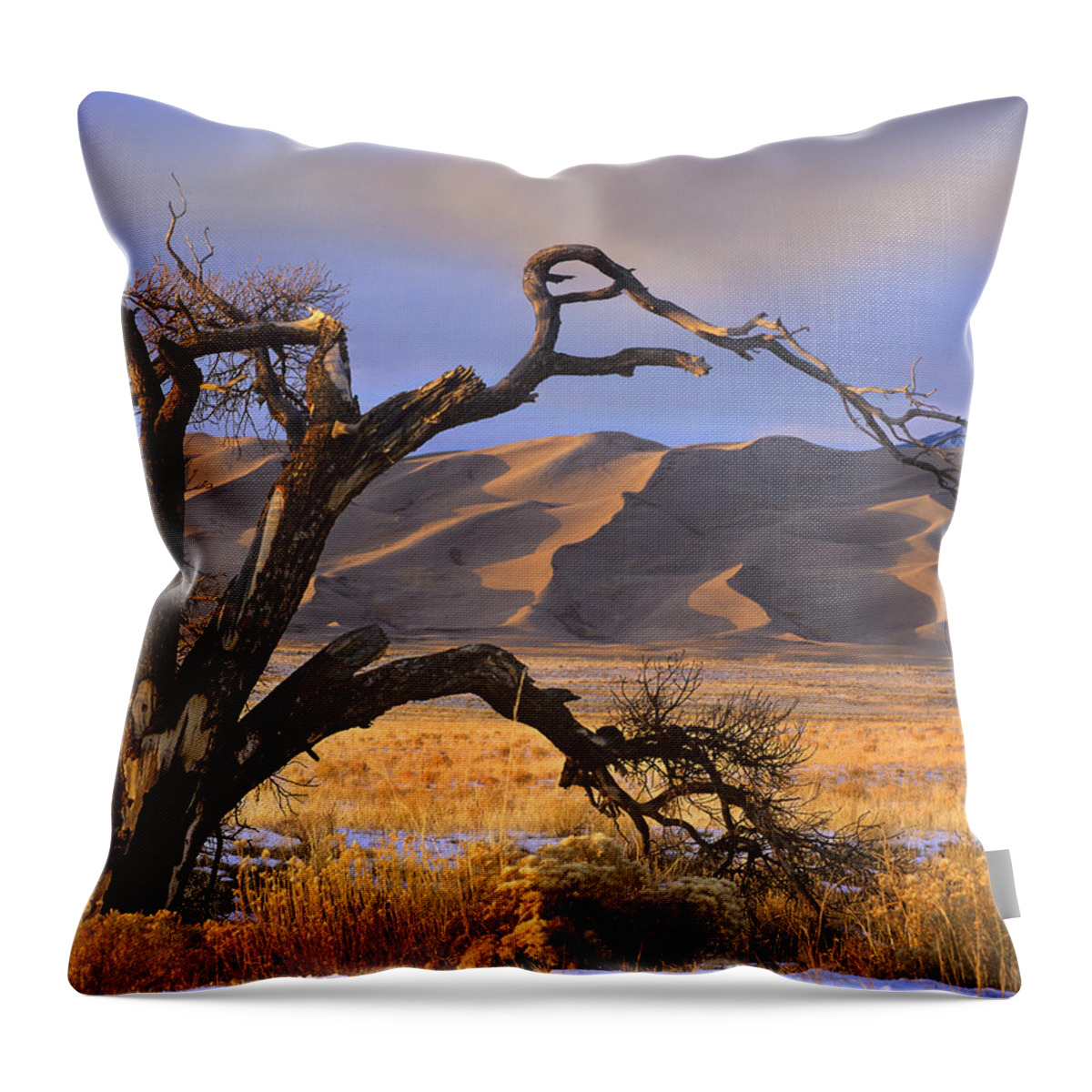 00176731 Throw Pillow featuring the photograph Grasslands And Dunes Great Sand Dunes by Tim Fitzharris