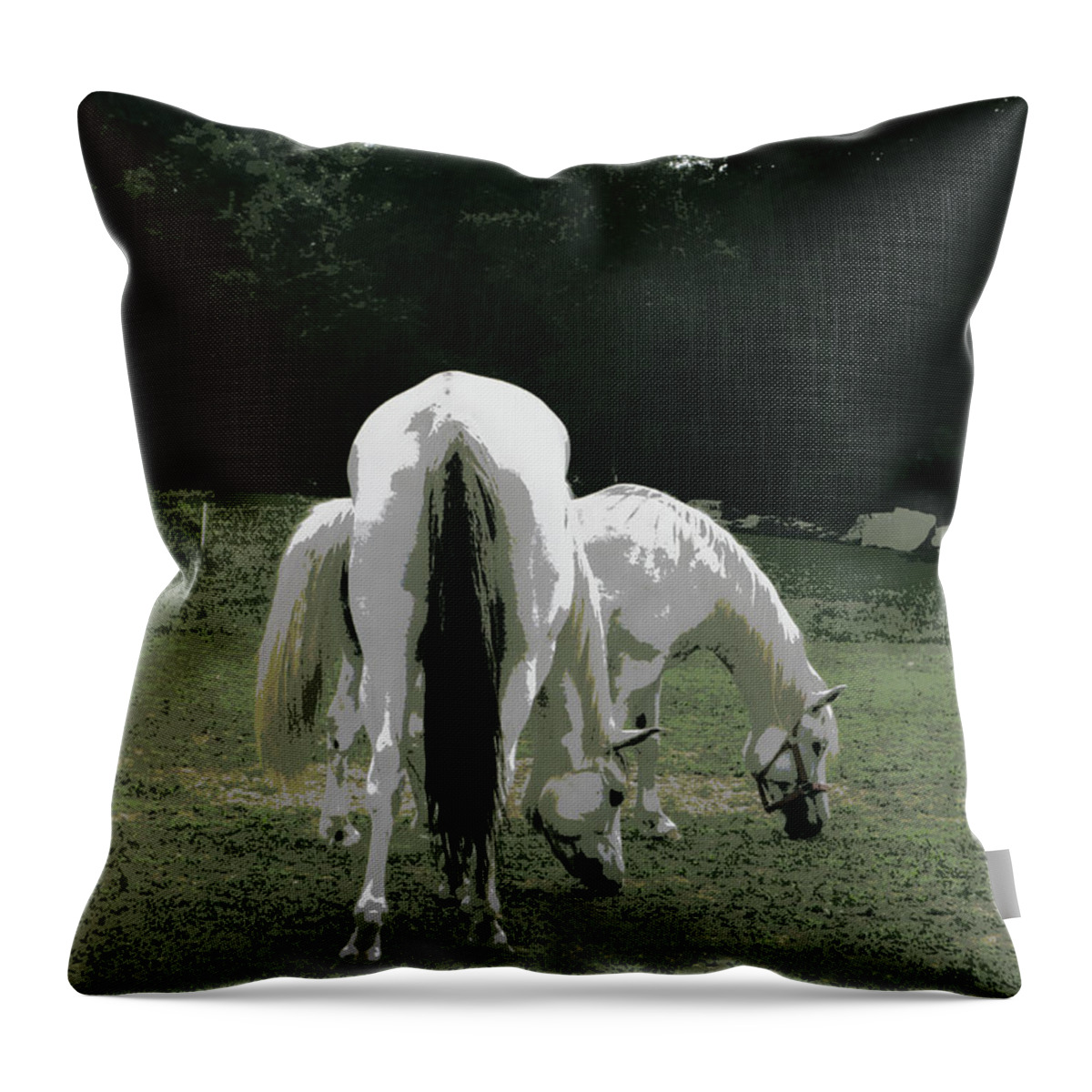 Horses Throw Pillow featuring the photograph Grazing Friendship by Kim Galluzzo Wozniak
