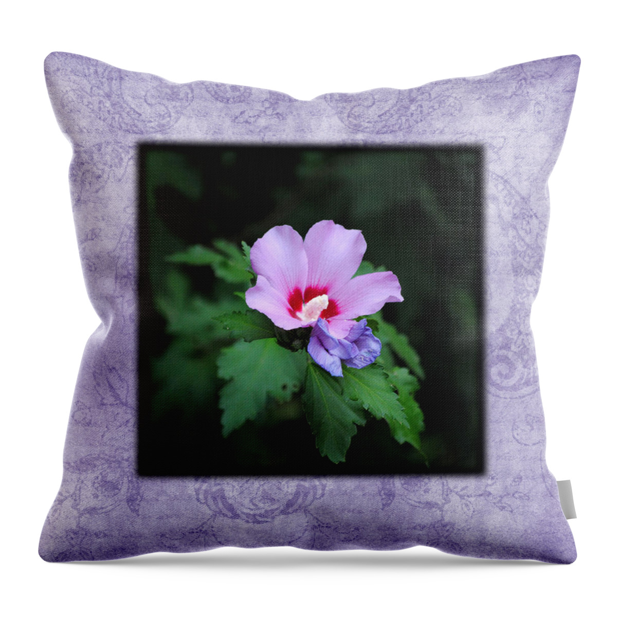 Hibiscus Throw Pillow featuring the photograph Hibiscus I Photo Square by Jai Johnson