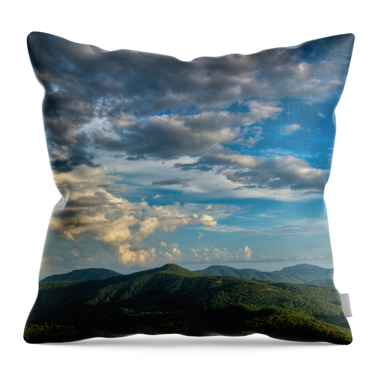 Joye Ardyn Durham Throw Pillow featuring the photograph Hidden Rainbow by Joye Ardyn Durham