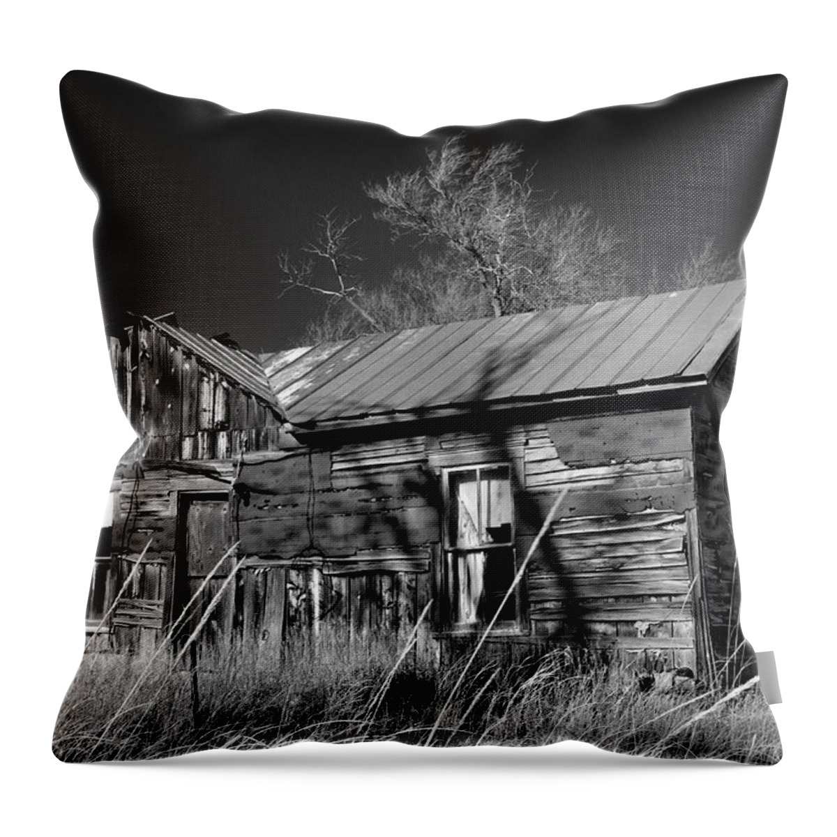 House Throw Pillow featuring the photograph Homestead by Ron Cline