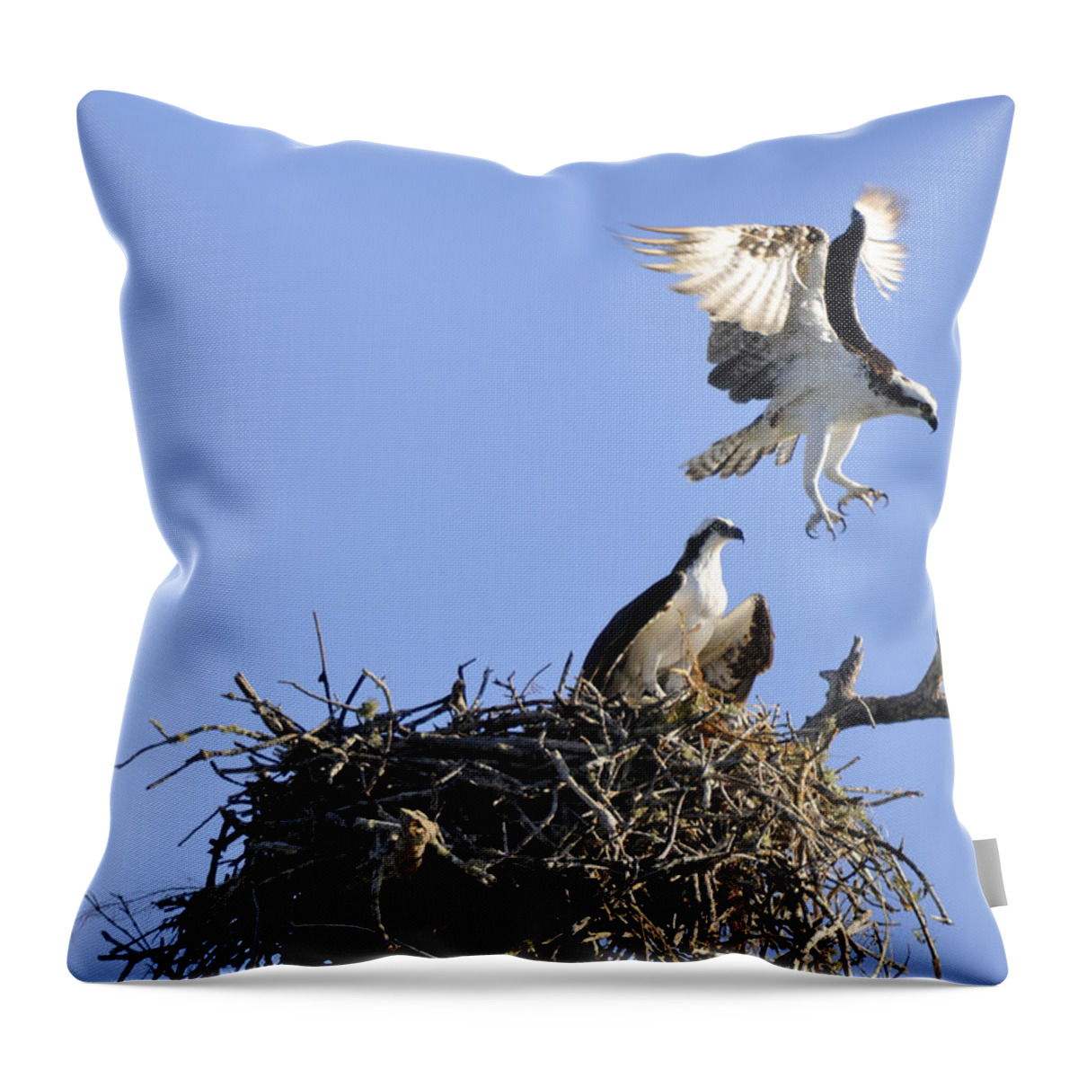 Osprey Throw Pillow featuring the photograph Honey I'm Home by Christine Stonebridge