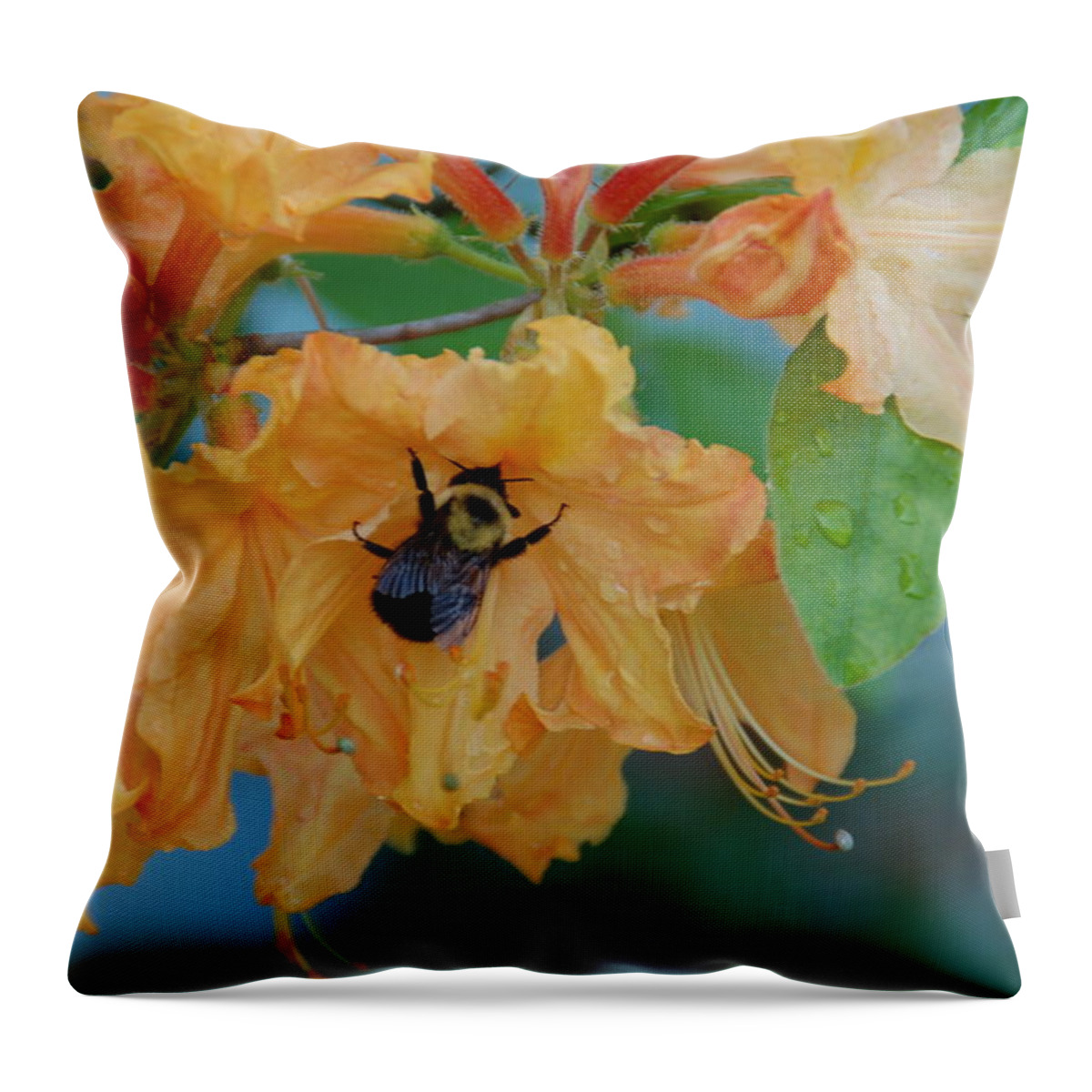 Flower Throw Pillow featuring the photograph Honeydue by Aimee L Maher ALM GALLERY