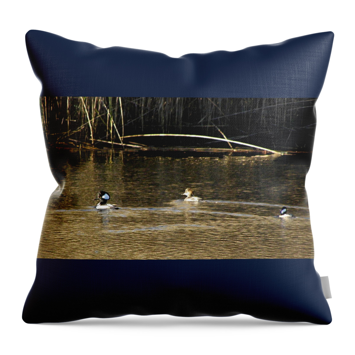 Hooded Throw Pillow featuring the photograph Hooded Mergansers by Kim Galluzzo Wozniak