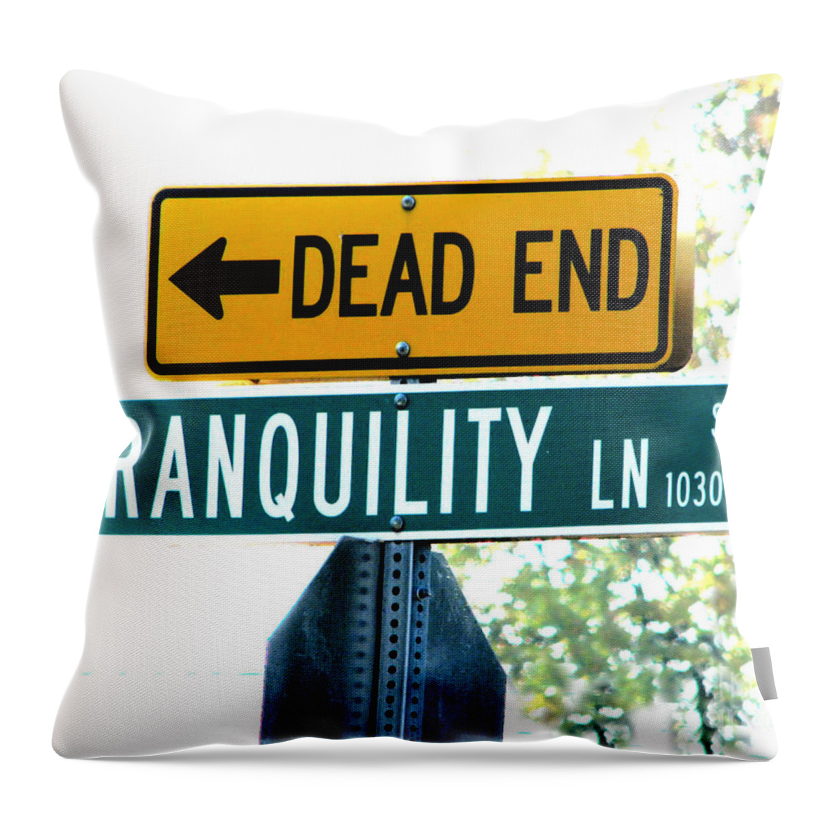 Sign Throw Pillow featuring the photograph I Hope Not by Rory Siegel