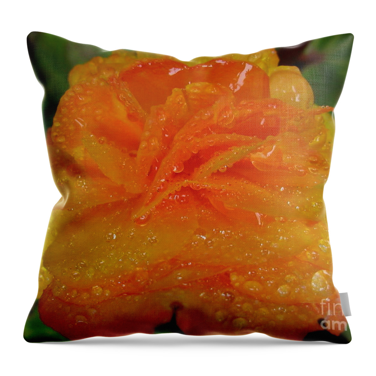 Flower Throw Pillow featuring the photograph Illuminate Photography by Tina Marie