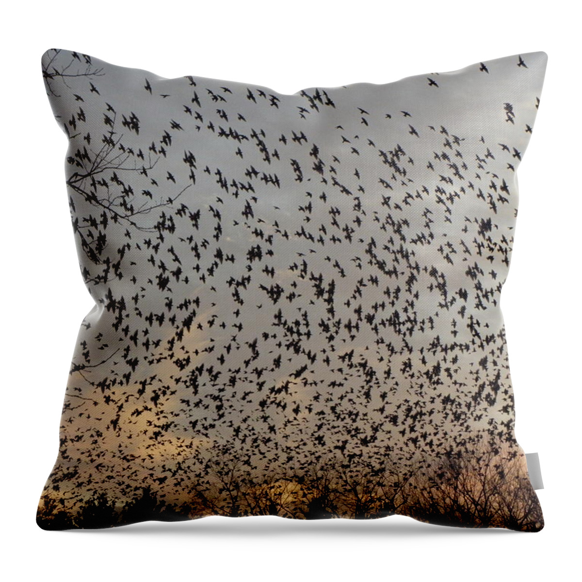 Starlings Throw Pillow featuring the photograph Invasion Of The Birds by Kim Galluzzo