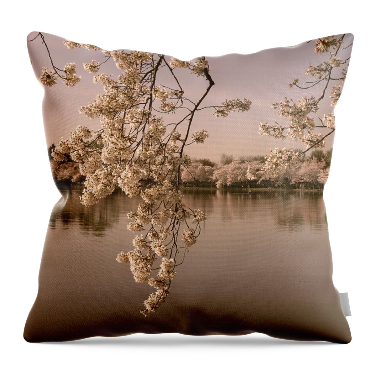 Washington D.c. Throw Pillow featuring the photograph Japanese Cherry Tree Blossoms over the Tidal Basin in Sepia DS019S by Gerry Gantt