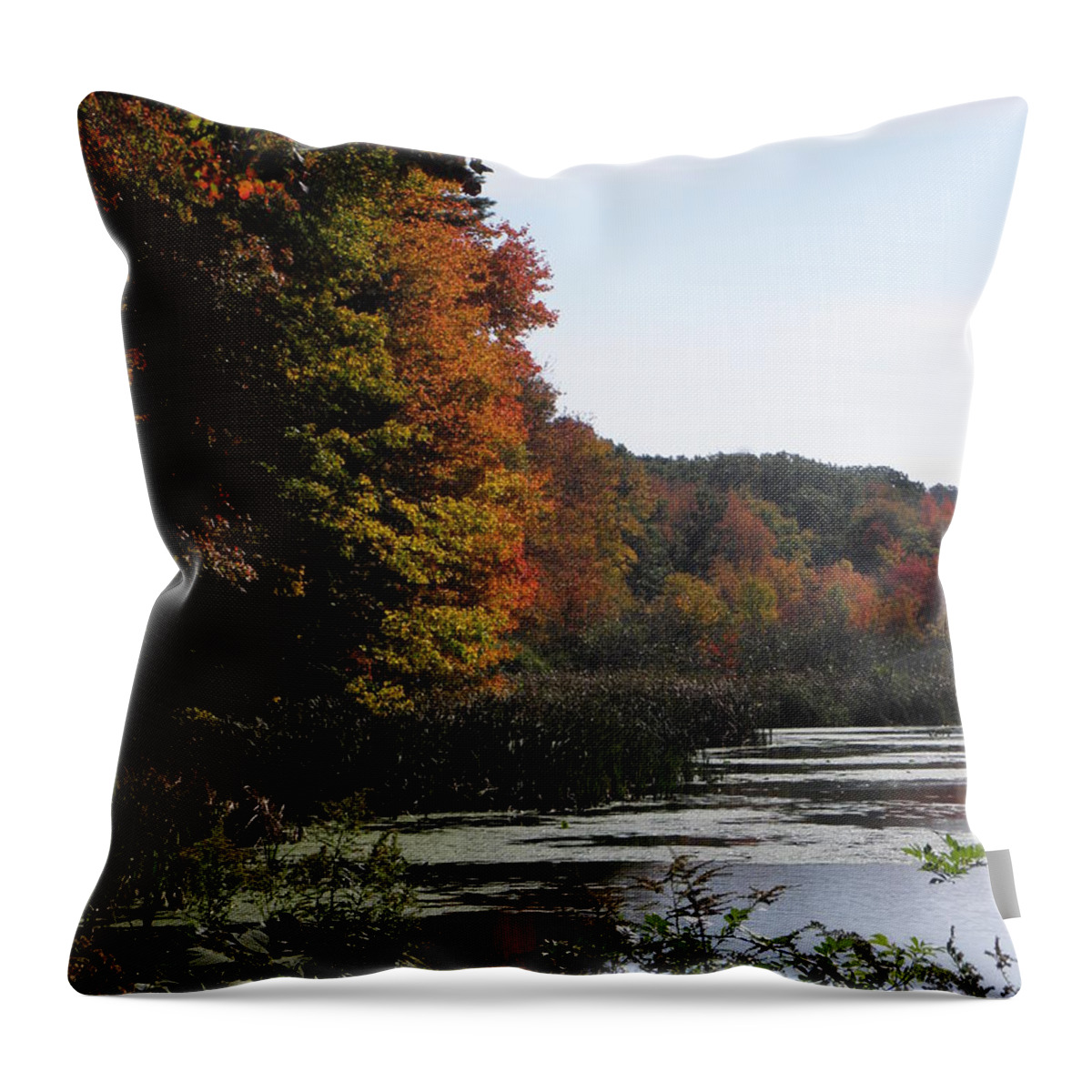 Autumn Throw Pillow featuring the photograph Just simple Beauty by Kim Galluzzo Wozniak