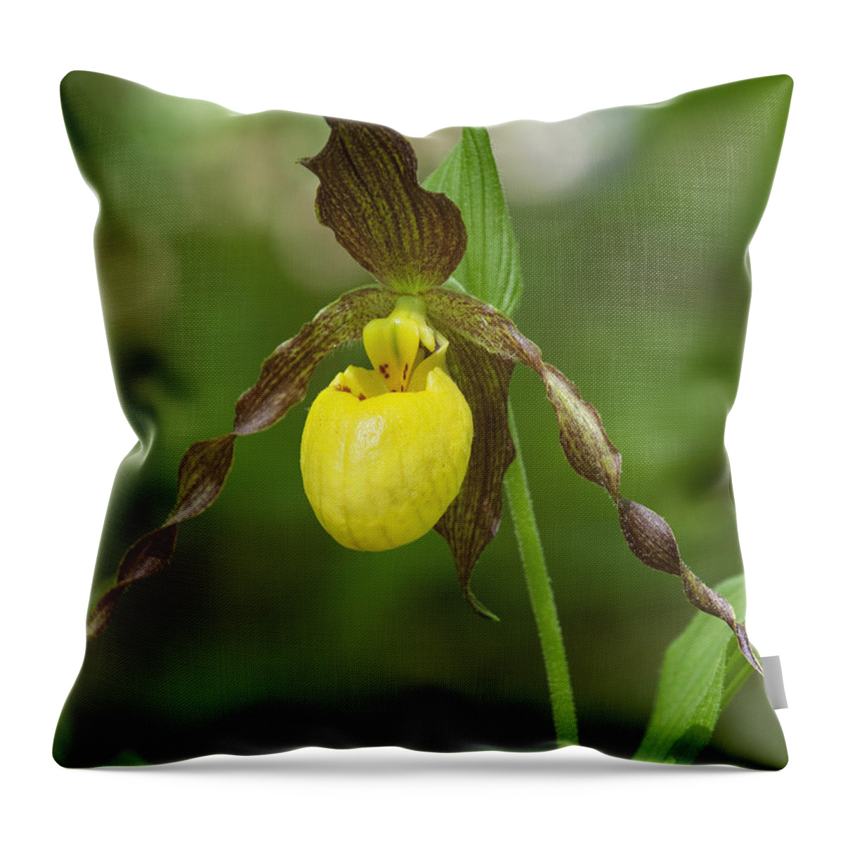 Nature Throw Pillow featuring the photograph Large Yellow Lady Slipper Orchid DSPF0251 by Gerry Gantt