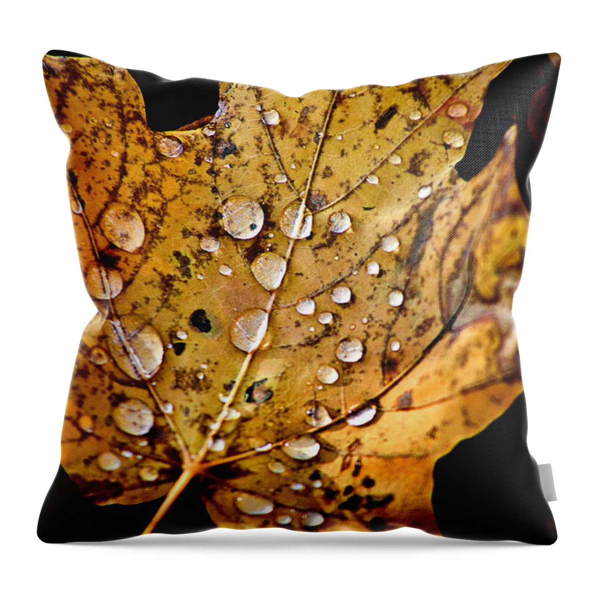 Fall Leaf With Water Droplets Throw Pillow featuring the photograph Leafwash by Burney Lieberman