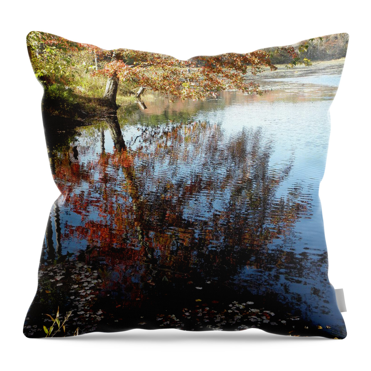 Leaves Throw Pillow featuring the photograph Leaves Of Reflections by Kim Galluzzo Wozniak