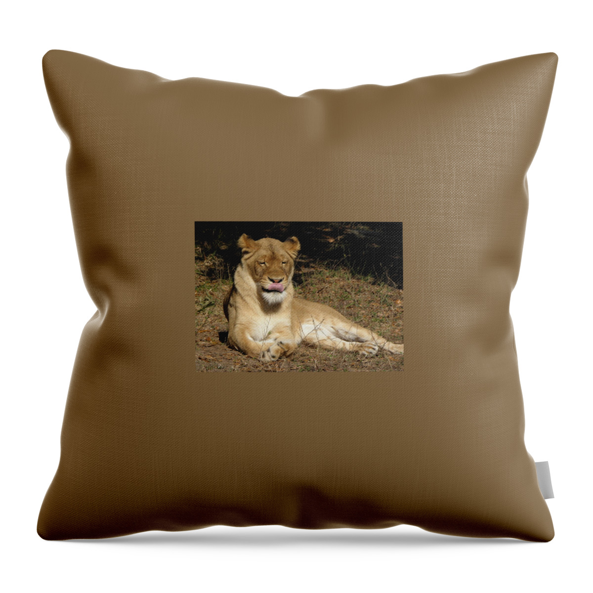 Lion Throw Pillow featuring the photograph Licking Lips by Kim Galluzzo Wozniak