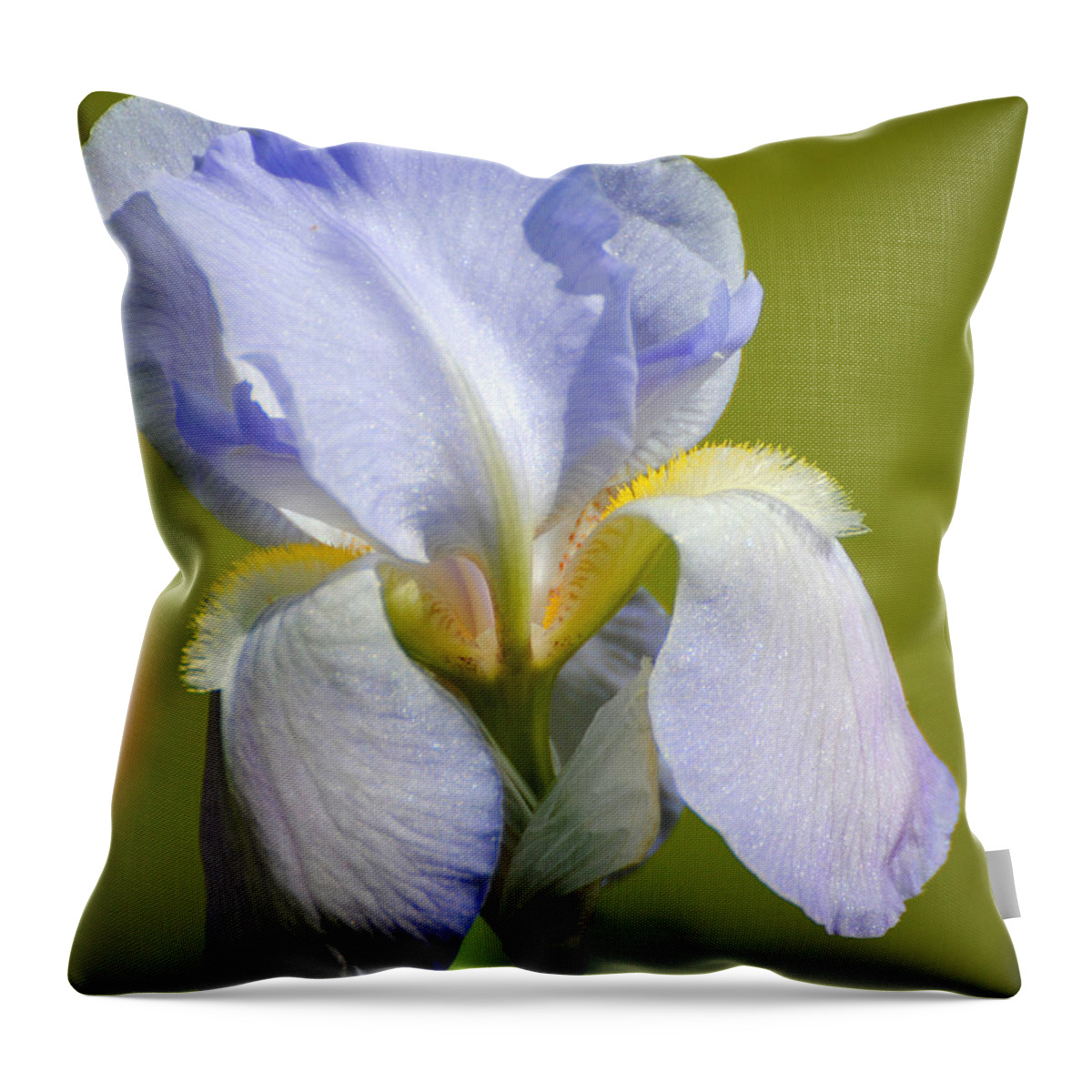 Beautiful Iris Throw Pillow featuring the photograph Lilac Blue Iris Flower III by Jai Johnson