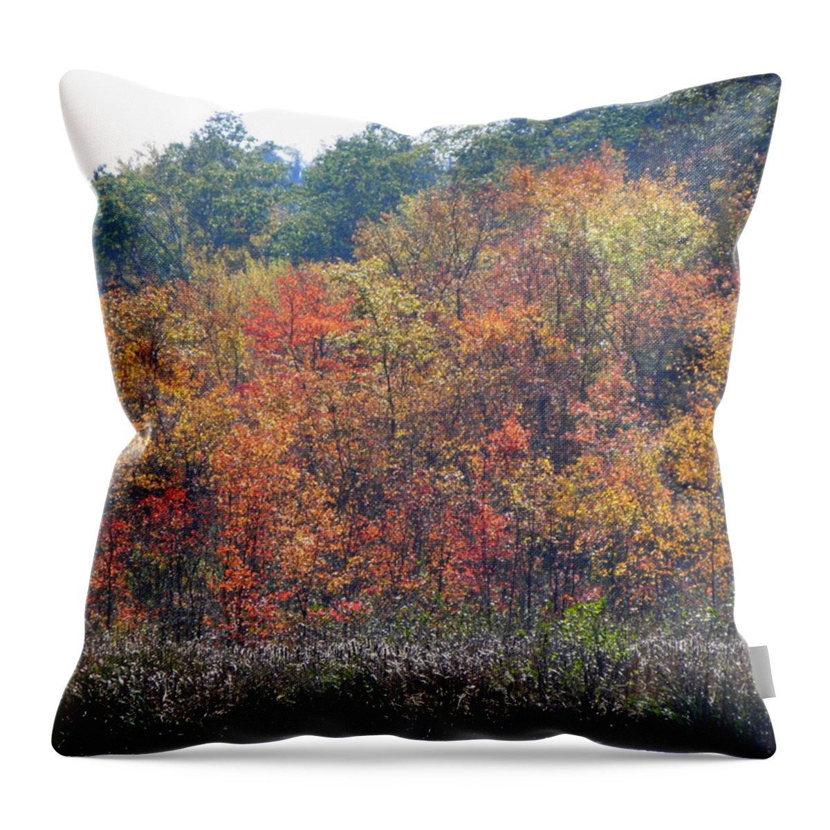 Autumn Throw Pillow featuring the photograph Looks Like A Painting by Kim Galluzzo Wozniak
