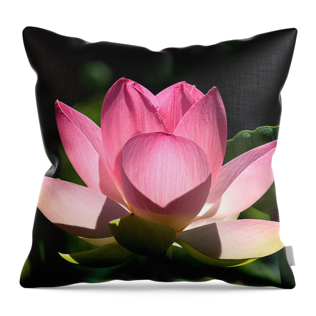 Nature Throw Pillow featuring the photograph Lotus Beauty--Radiant Beauty DL011 by Gerry Gantt