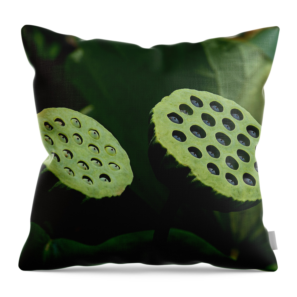 Nature Throw Pillow featuring the photograph Lotus Capsules-Sun Worshipers DL052 by Gerry Gantt