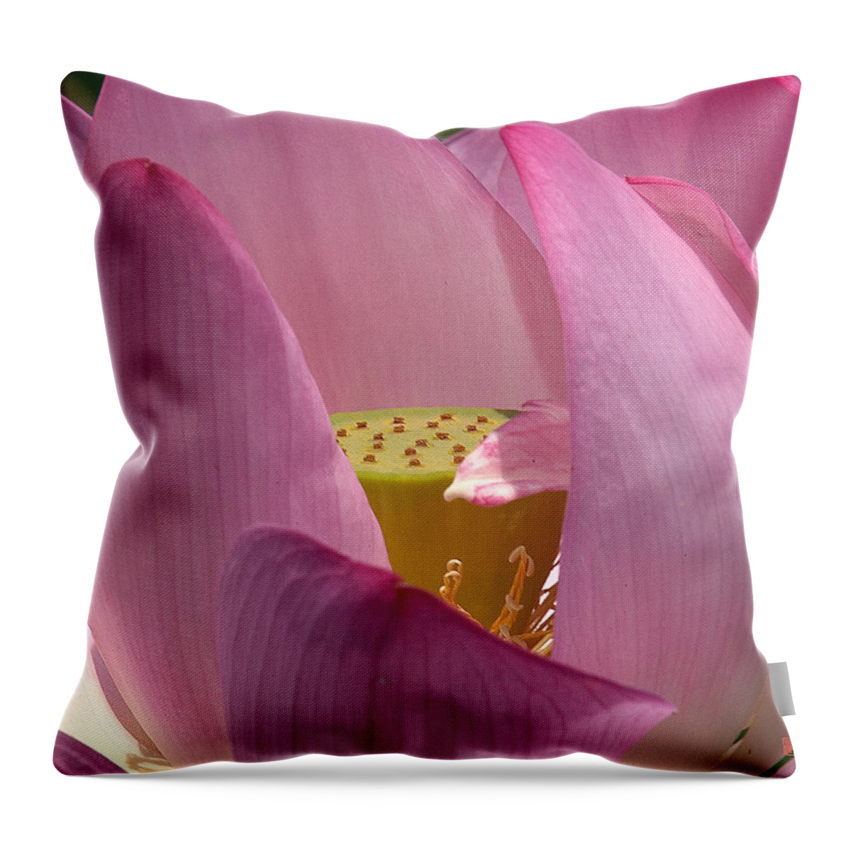 Nature Throw Pillow featuring the photograph Lotus--Center of Being i DL022 by Gerry Gantt