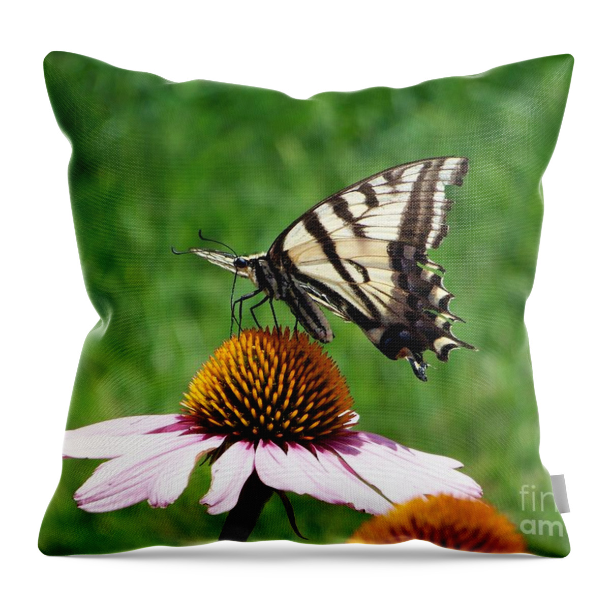Butterflies Throw Pillow featuring the photograph Lunch Time by Dorrene BrownButterfield
