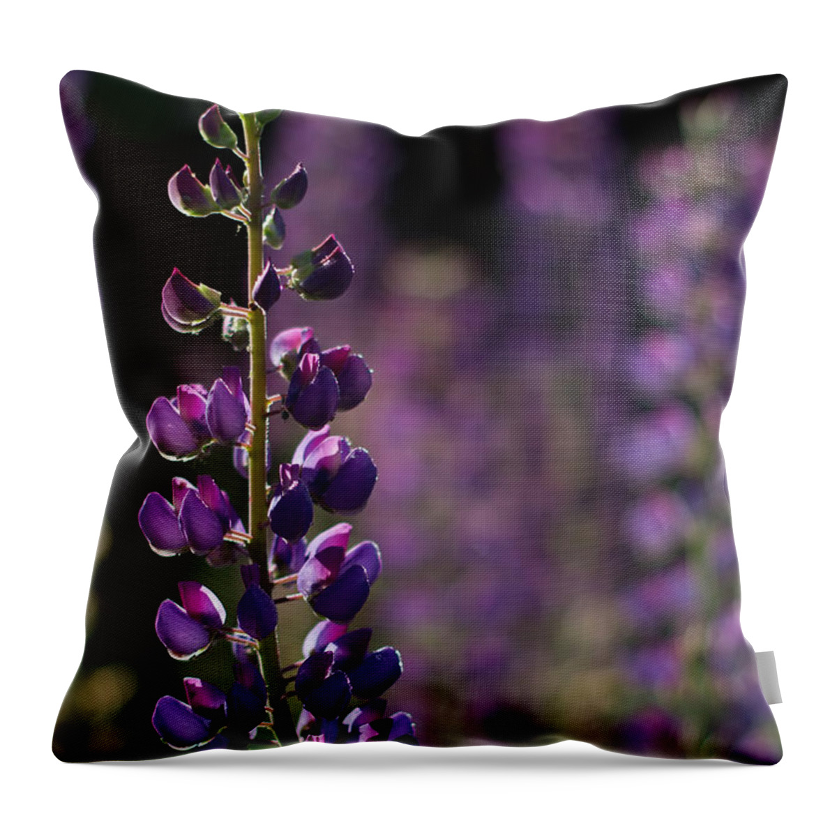 Canada Throw Pillow featuring the photograph Lupines by Jakub Sisak