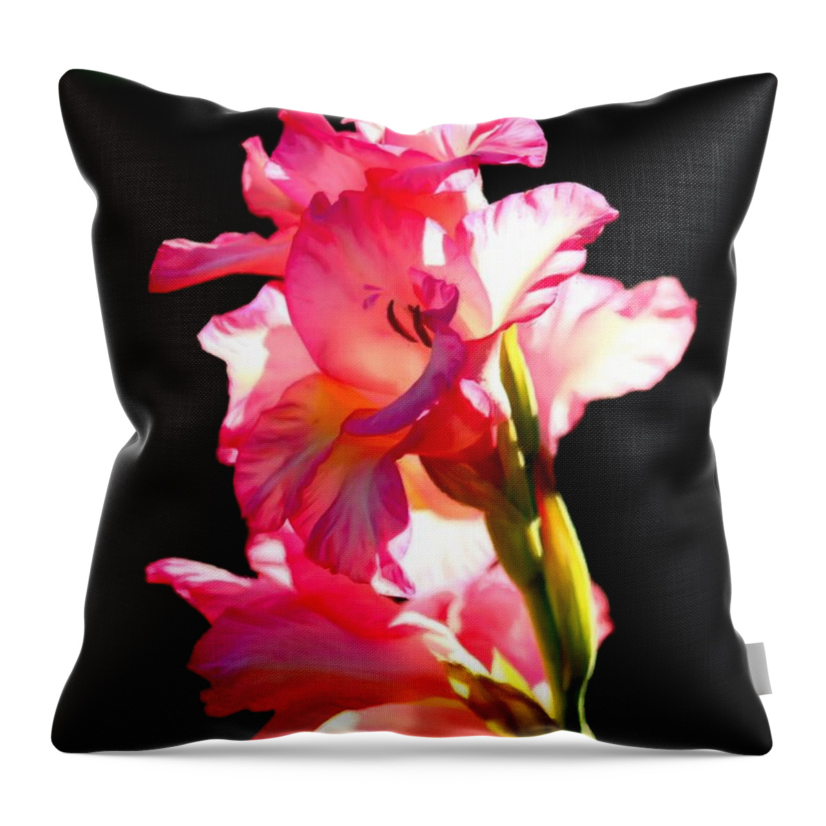 Galadiolus Throw Pillow featuring the photograph Majestic Gladiolus by Patrick Witz